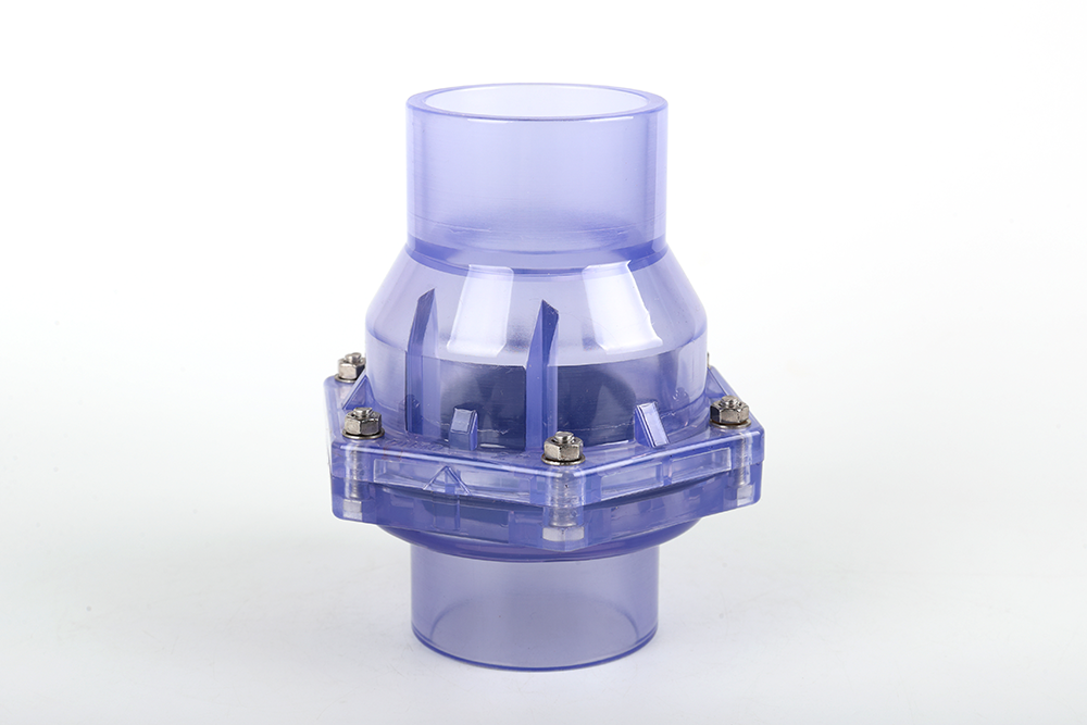 潮南透明翻板式止回阀